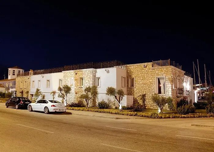 旅馆 切什梅滨海旅馆 *